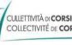 Nous contacter