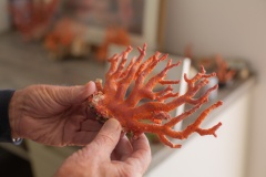 002_20260303_MARITIMU_2205