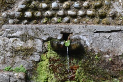 Bussu bucugna - Fontaine : Source de souvenirs