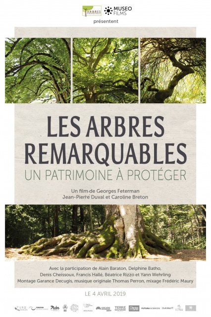 AFFICHE ARBRES REM_181227-low