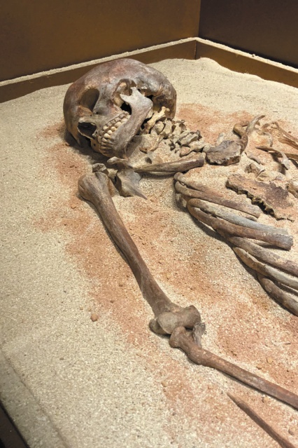 Paci Eterna 2021-54 Paci Eterna 2021-54