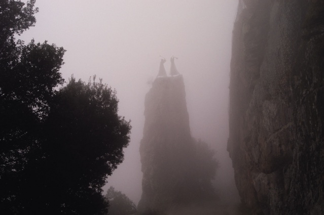 Paci Eterna 2021-30 Paci Eterna 2021-30