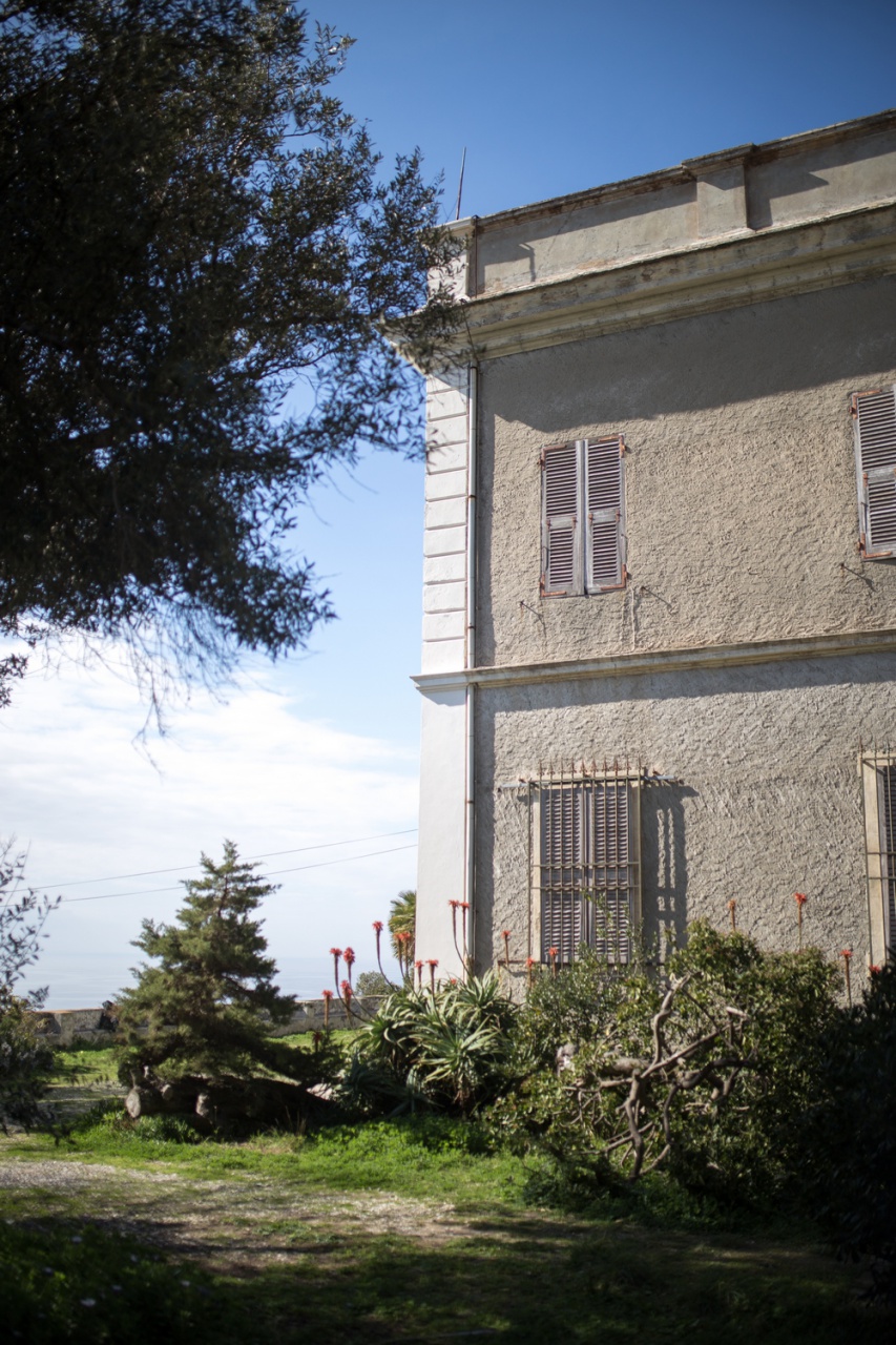 Château Stopielle, Cannelle Château Stopielle, Cannelle