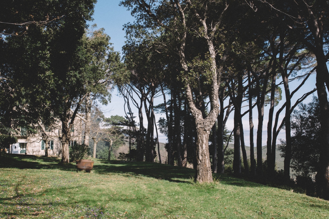 Jardin de la Maison Vivoni, Sisco Jardin de la Maison Vivoni, Sisco