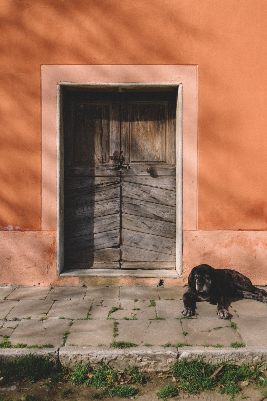 Maison Gaspari-Ramelli, Sisco Maison Gaspari-Ramelli, Sisco