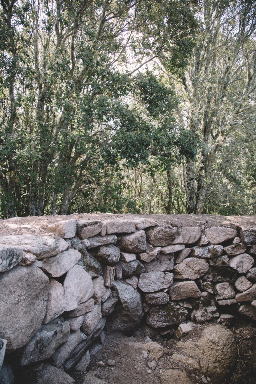 Cucuruzzu, avril 2017 Cucuruzzu, avril 2017