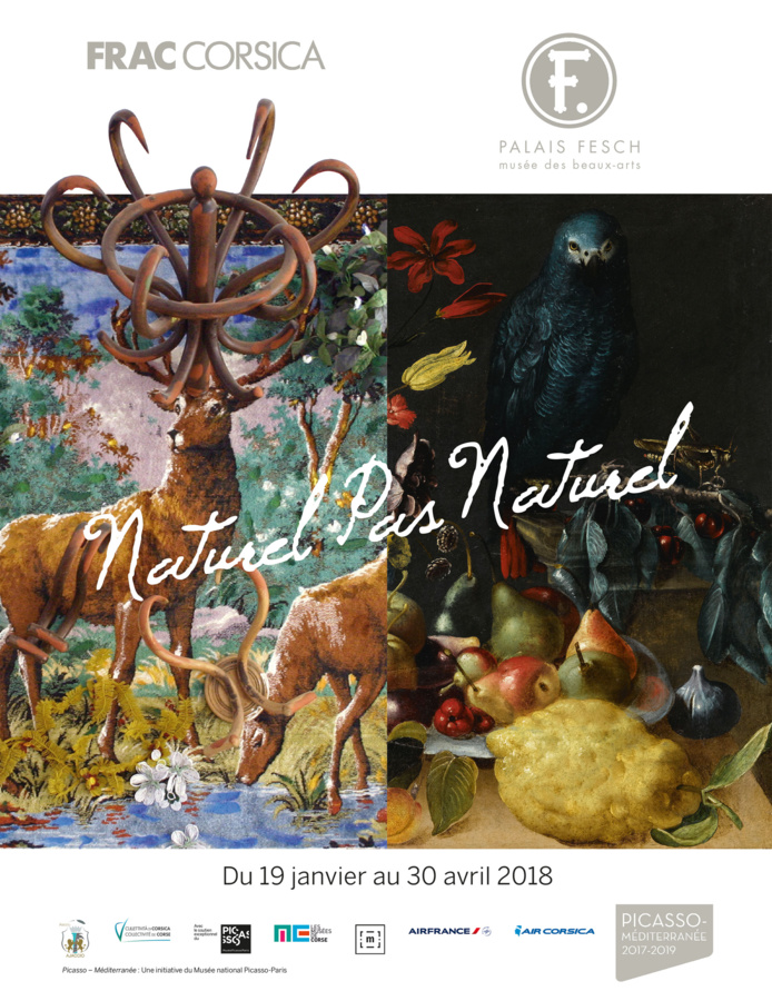 U FRAC Corsica è u Palazzu Fesch prisentani in cullaburazioni NATURALI MICCA NATURALI, da u 19 di ghjinnaghju à u 30 d’aprili di u 2018 à u Palazzu Fesch in Aiacciu