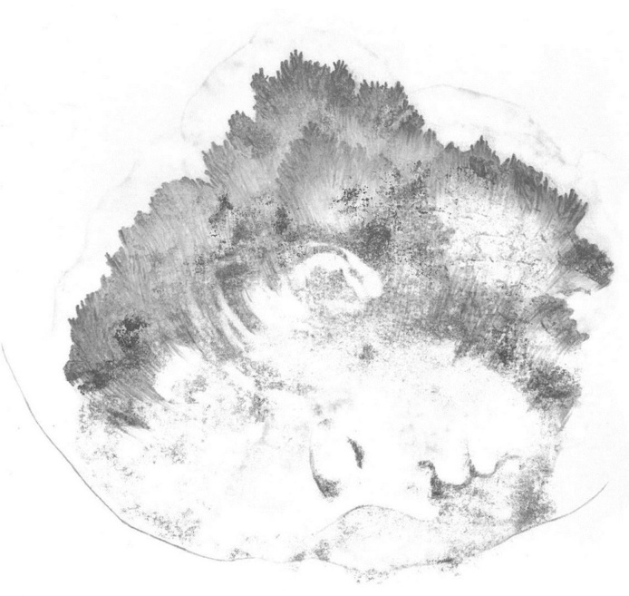 Le FRAC Corsica présente Notre vie est un voyage, du 12 avril au 25 juin 2018 à Corti Le FRAC Corsica présente Notre vie est un voyage, du 12 avril au 25 juin 2018 à Corti