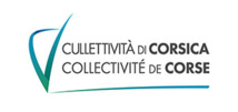 Election des représentants professionnels des assistants maternels et familiaux à la Commission consultative paritaire départementale de la Haute-Corse