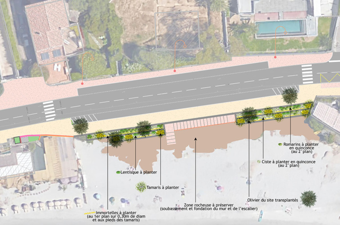 Plan aménagement paysager Barbicaja Plan aménagement paysager Barbicaja