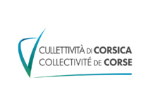 Avis d'appel à candidature pour la désignation de représentants d'usagers (protection de l'enfance) et des associations de personnes ou de familles en difficultés sociales à la CISAPPSMS Avis d'appel à candidature pour la désignation de représentants d'usagers (protection de l'enfance) et des associations de personnes ou de familles en difficultés sociales à la CISAPPSMS