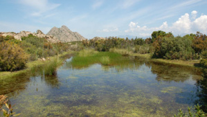 Journées Mondiales des zones humides Journées Mondiales des zones humides