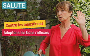 E zinzale ? Zittu zittu ! Contre les moustiques, adoptons les bons réflexes