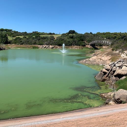 Vue de la réserve de compensation du golf depuis le couronnement du barrage