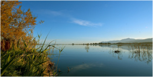 Zone umide - Journées mondiales des zones humides 2020  Zone umide - Journées mondiales des zones humides 2020