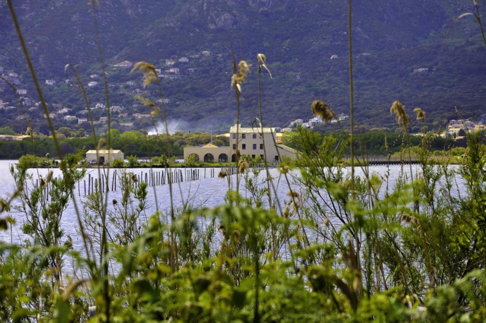 ​Réouverture de l’écomusée du Fortin et découverte de la réserve naturelle de l’étang de Biguglia