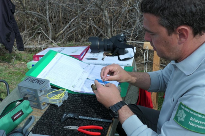 Matériel de baguage / crédit Antoine Leoncini Matériel de baguage / crédit Antoine Leoncini