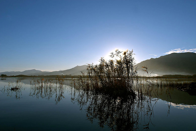 Festa di a natura 2020 à a riserva naturale di u stagnu di Chjurlinu in Biguglia 