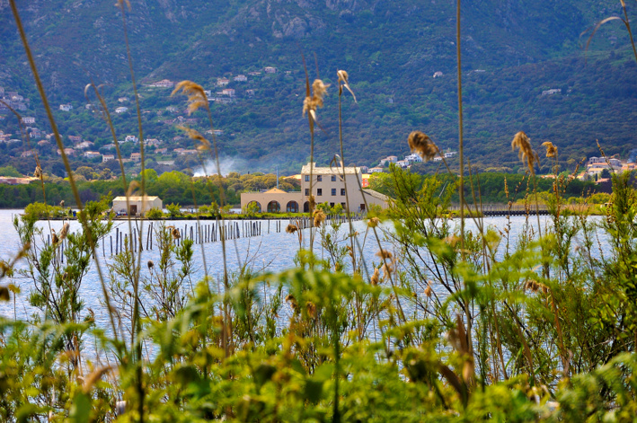 Ghjurnati Mundiali di i Zoni Umidi 2021 Ghjurnati Mundiali di i Zoni Umidi 2021