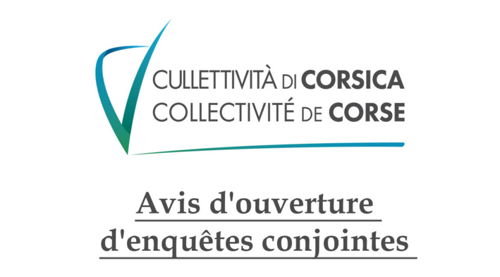 Avis d'ouverture d'enquêtes conjointes