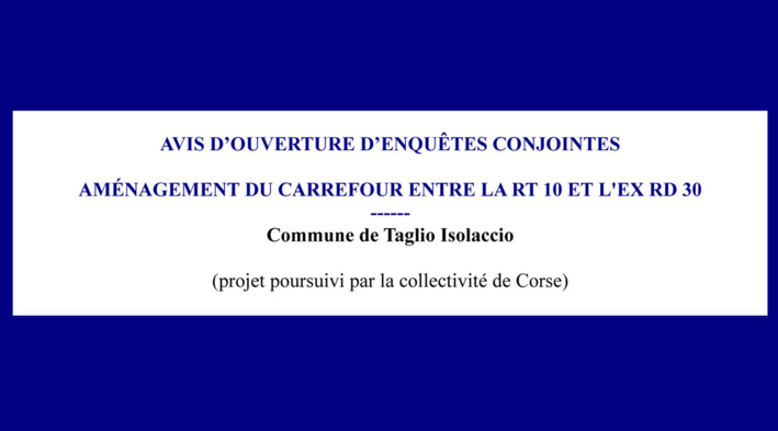 Avis d'ouverture d'enquêtes conjointes