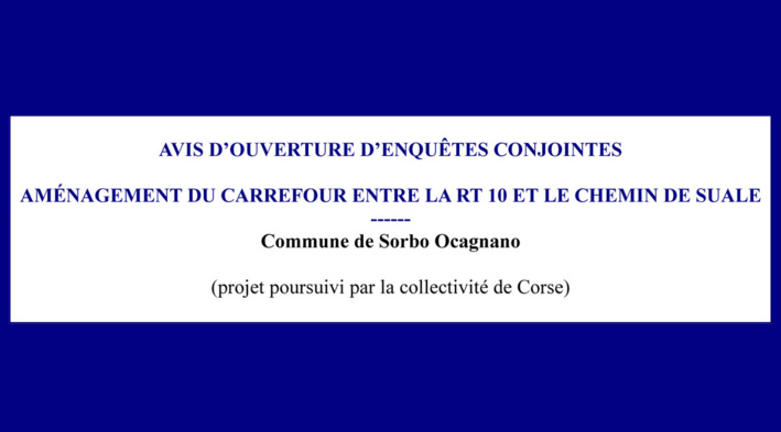 Avis d'ouverture d'enquêtes conjointes