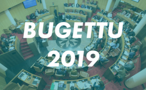 Budget 2019
