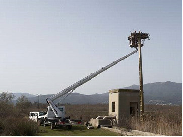 L’Etang de Biguglia, sanctuaire des oiseaux migrateurs L’Etang de Biguglia, sanctuaire des oiseaux migrateurs