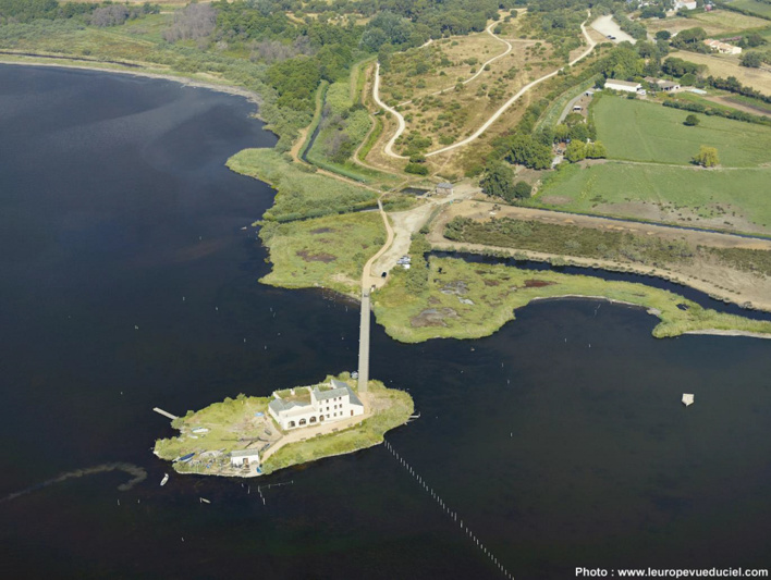L’Etang de Biguglia, sanctuaire des oiseaux migrateurs