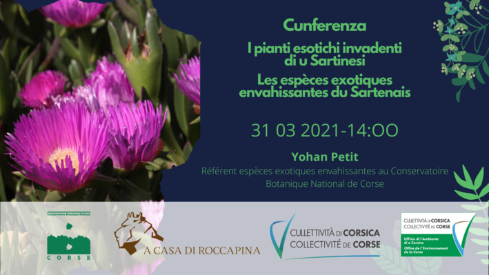 Cunfarenza : I pianti esotichi invadenti di u Sartinesi Cunfarenza : I pianti esotichi invadenti di u Sartinesi