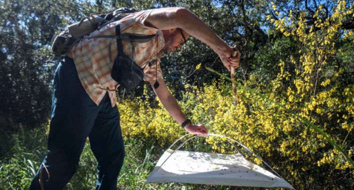 La Planète Revisitée en Corse : une grande expédition au service de la biodiversité