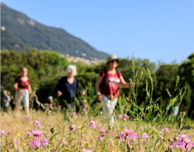 Appel à Projets en faveur de l’amélioration de la prise en charge médicale et sociale des populations des territoires de l’intérieur