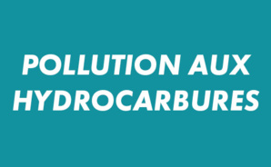 Pollution aux hydrocarbures : la Collectivité de Corse et l'Office de l'Environnement de la Corse mobilisés Pollution aux hydrocarbures : la Collectivité de Corse et l'Office de l'Environnement de la Corse mobilisés