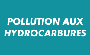 Pollution aux hydrocarbures : la Collectivité de Corse et l'Office de l'Environnement de la Corse mobilisés