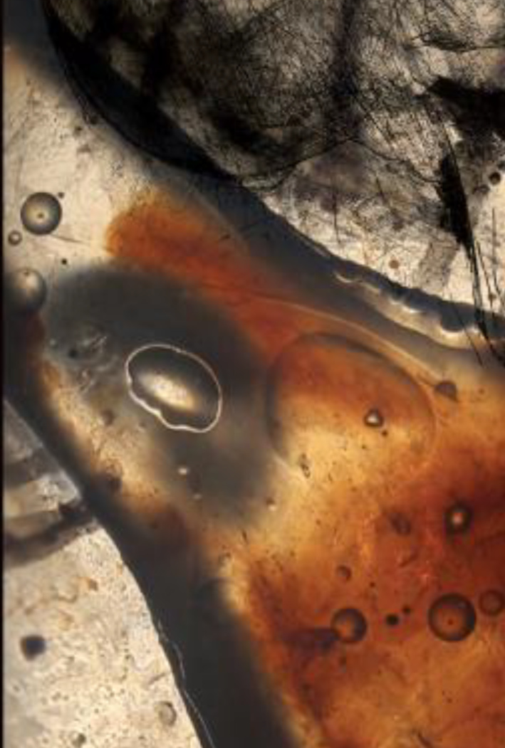 La Collectivité de Corse inaugure deux expositions en Alta Rocca La Collectivité de Corse inaugure deux expositions en Alta Rocca