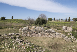 Sauvegarde et réhabilitation du site antique d’Aleria