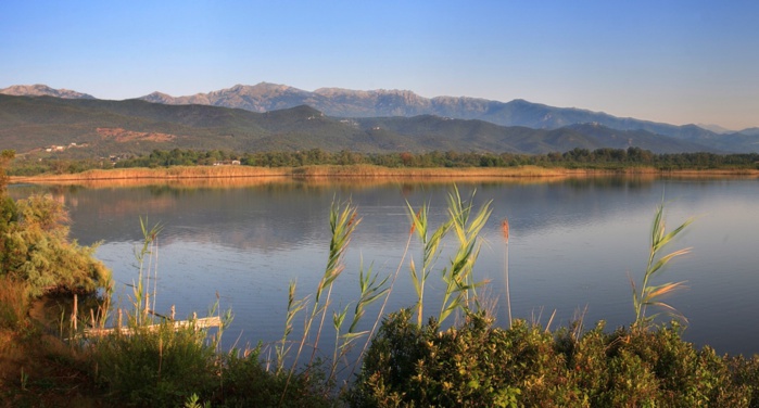 Journée mondiale des zones humides 2023 : A Cullettività di Corsica sempre impignata in u ristoru di l’ambienti umidi