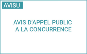 Appel public à la concurrence pour l’exploitation par délégation de service public de services aériens réguliers Appel public à la concurrence pour l’exploitation par délégation de service public de services aériens réguliers