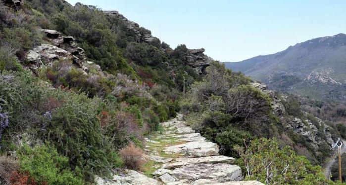 Collectivité de Corse (D. Lucchesi)