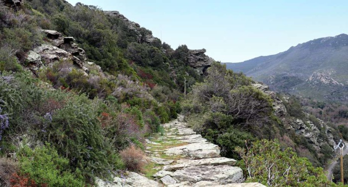 A valle salvatica d’Olcani