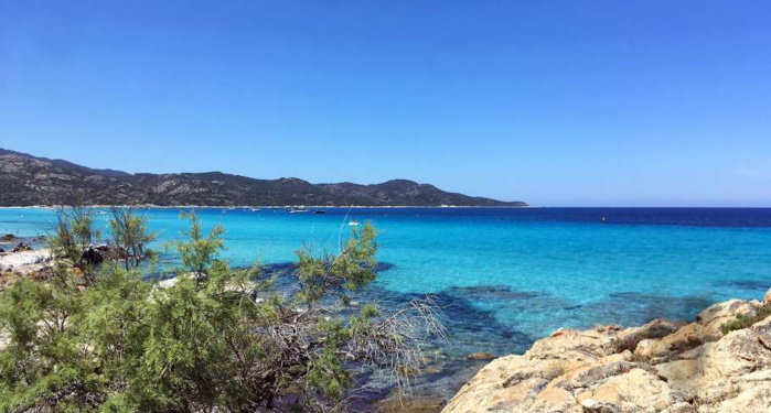 Collectivité de Corse (D. Lucchesi) Collectivité de Corse (D. Lucchesi)