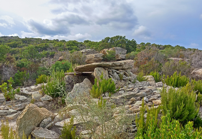 Collectivité de Corse (M. Piana) Collectivité de Corse (M. Piana)