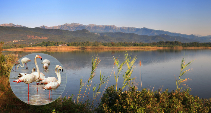 E ricchezze di u stagnu di Palu