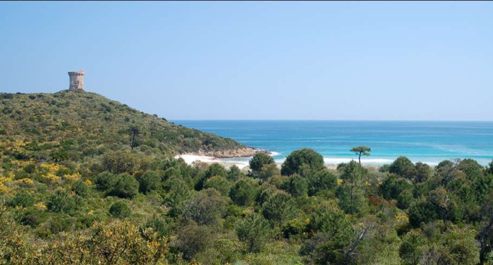 Conservatoire du Littoral / M. Willmes Conservatoire du Littoral / M. Willmes