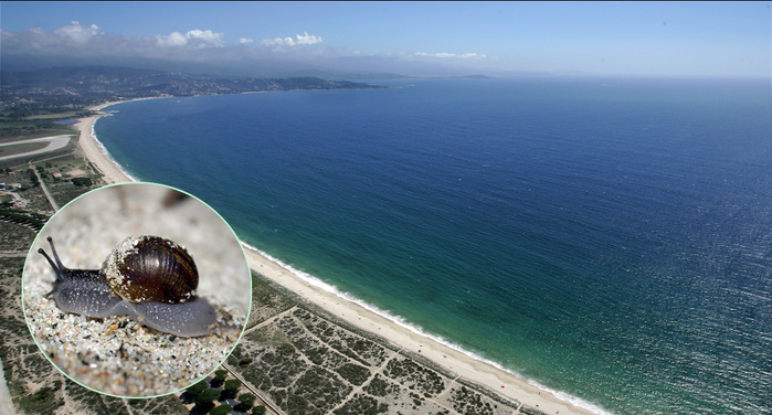 Conservatoire du Littoral / M. Luccioni - R. Leonardini