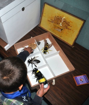 Réf.49 : Da l’apa à u mele : abeille et miels de Corse Réf.49 : Da l’apa à u mele : abeille et miels de Corse