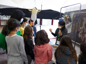 Réf.51 : Altore di a muntagna lu signore : programme LIFE GYPRESCUE