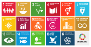 Avis d'appel à projets : "I trufei sculari di u sviluppu à longu andà / Les trophées scolaires du développement durable" - Edition 2023/2024