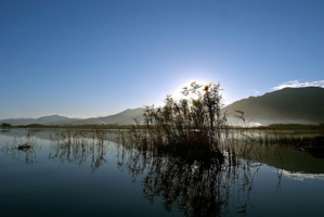 Surtite à meza natura in Corsica Surtite à meza natura in Corsica