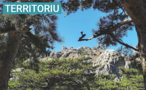 Scontri di a Furesta e di u Legnu, les 12 et 13 octobre 2023 à Vizzavona Scontri di a Furesta e di u Legnu, les 12 et 13 octobre 2023 à Vizzavona